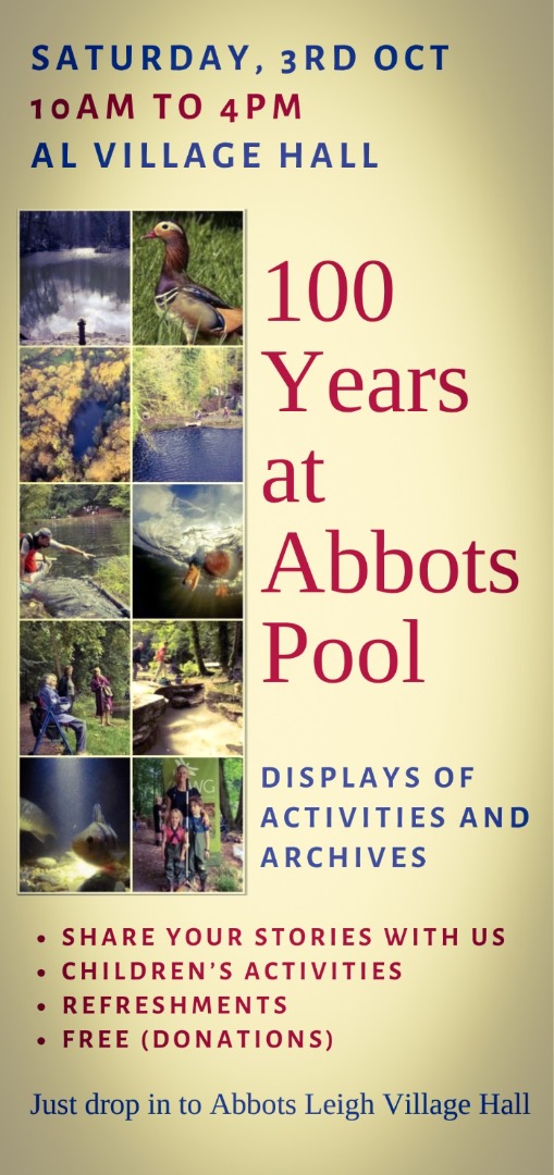 Abbots Pool 100 Years Celebration
